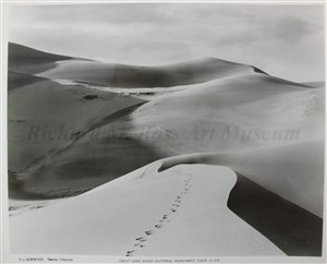 Image description is not available for 2007.029